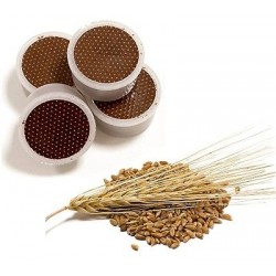 CAPSULA ORZO