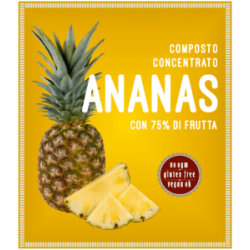 ANANAS 95% 4  BIB X4 KG.